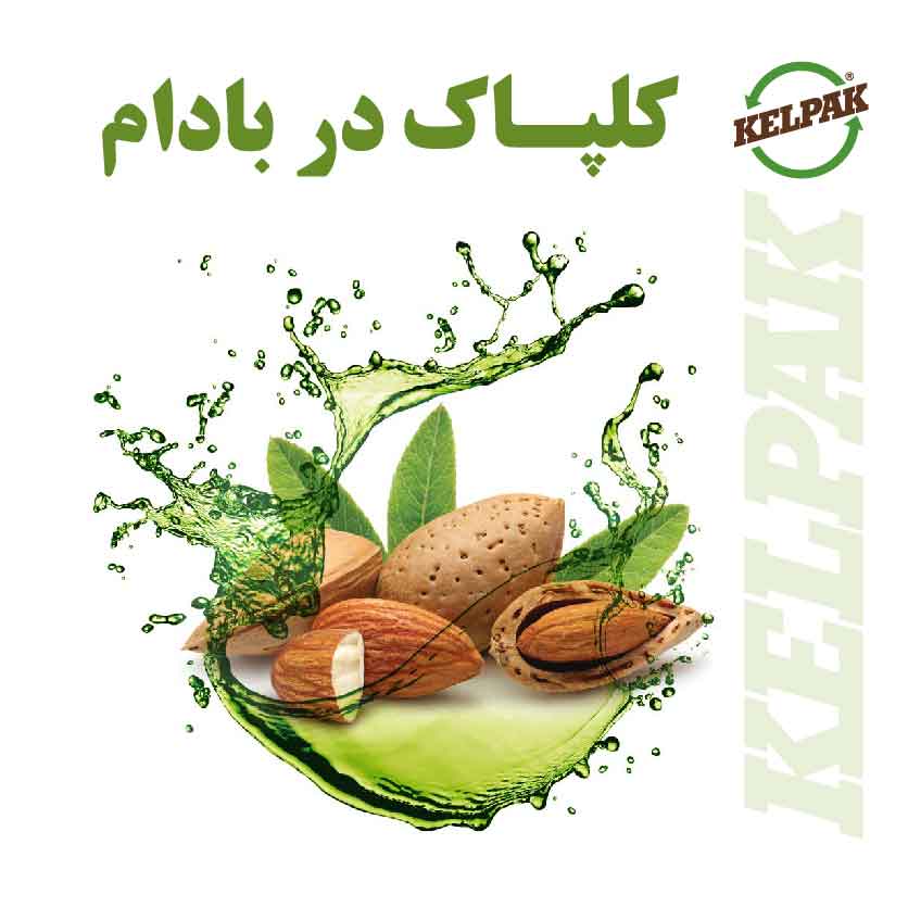 کلپاک در بادام